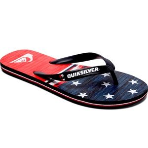 Quiksilver Men's Molokai Freedom Flip-Flop